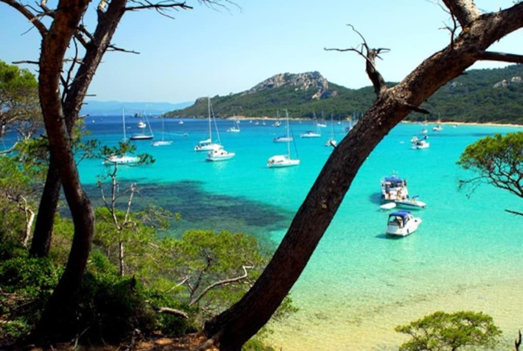 Villa Saint-Come, Du Grand Luxe A 1 Min De La Mer イエール エクステリア 写真